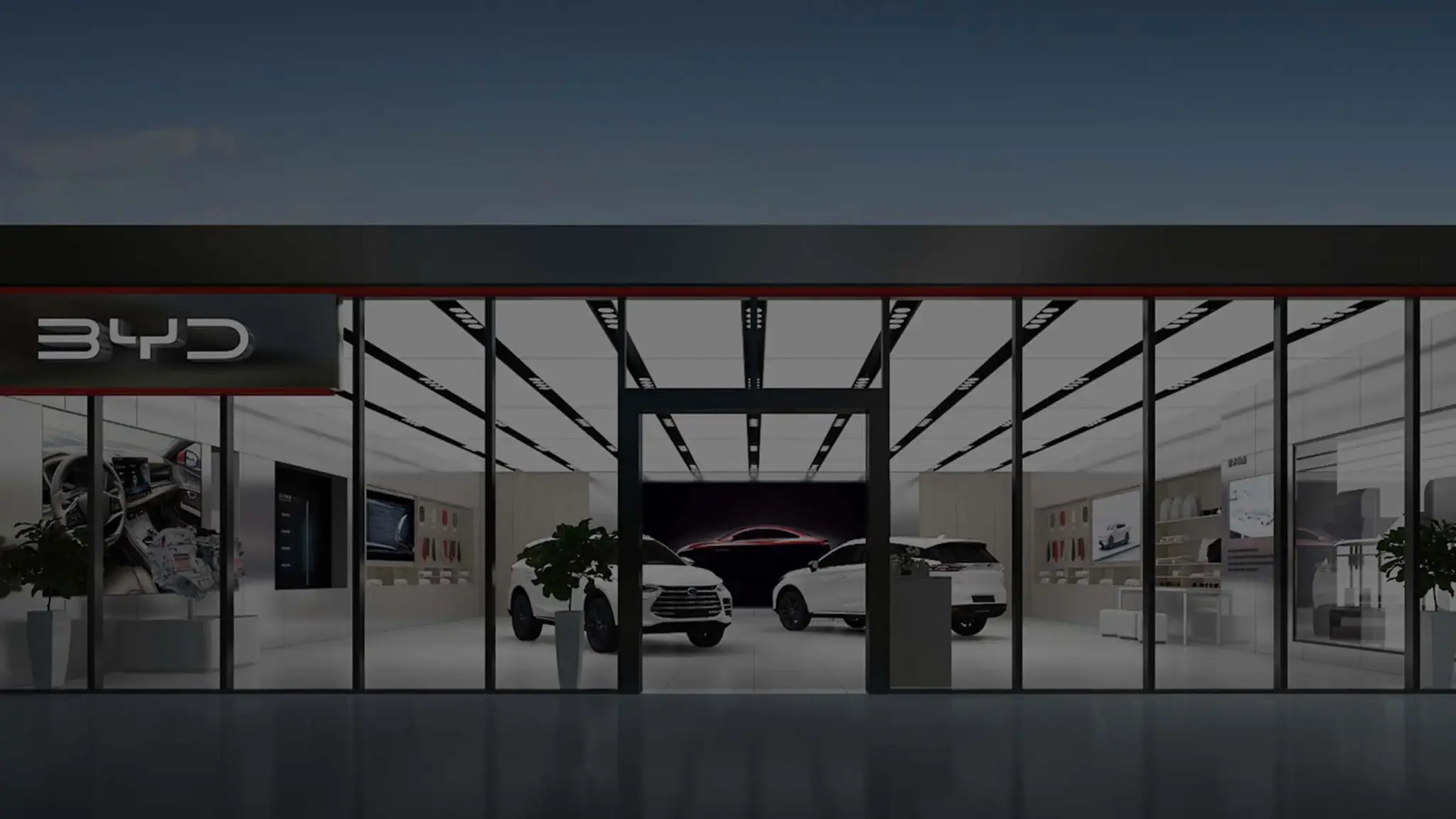 BYD showroom